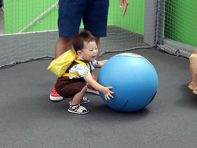 ボールパークおともだち
